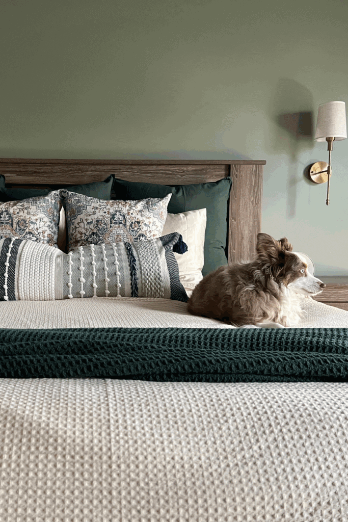 A brown and white dog lies on a neatly made bed with textured bedding, patterned pillows arranged just like in guides on how to arrange pillows on a king bed, and a green blanket in a room with a green wall and wall-mounted lamp.