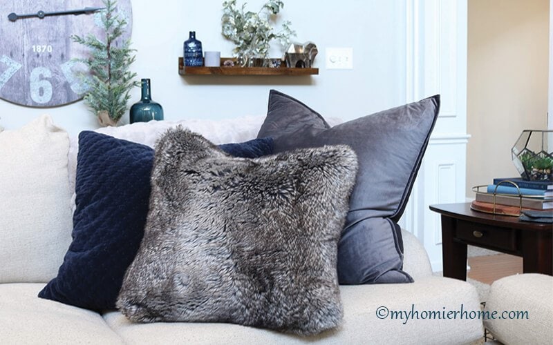 Homegoods pillows for outlet couch