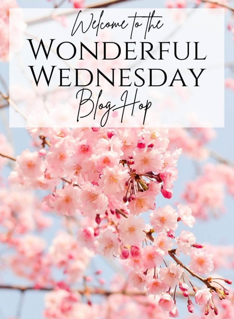 Wonderful Wednesday Blog  Hop flowers