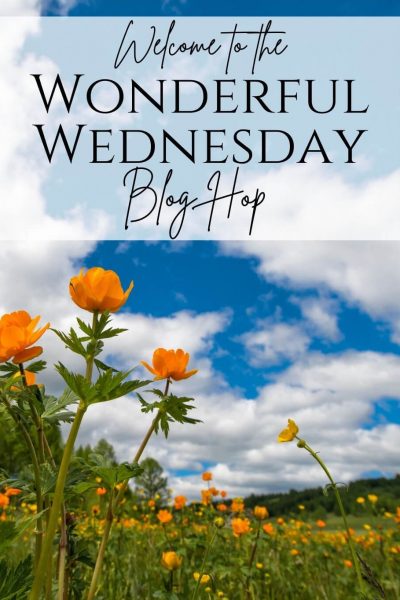 Wonderful Wednesday Blog Hop Spring