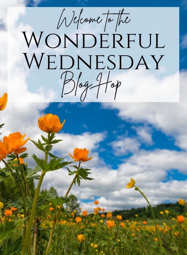 Wonderful Wednesday Blog Hop Spring